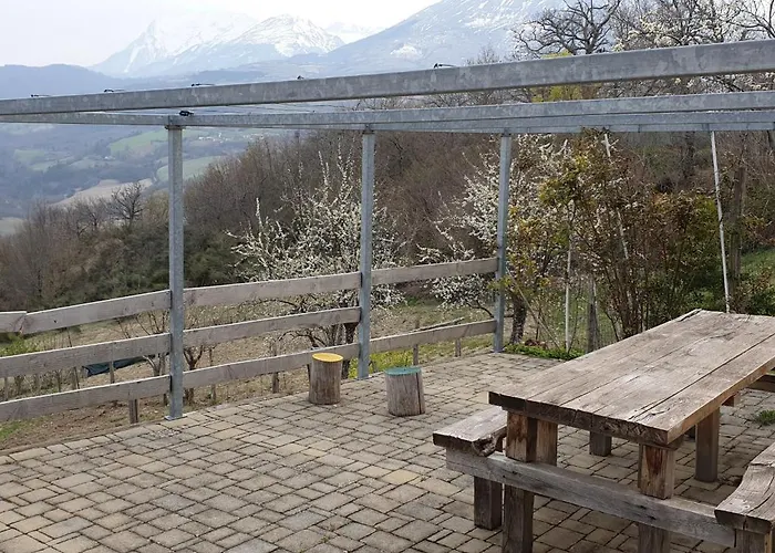 Un Sogno Nel Bosco